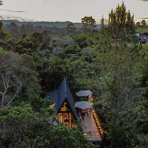 Ecoluxury Glamping Camping